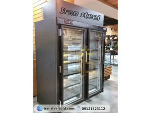 فریز ایستاده مخصوص نگهداری پلیمبر و بستنی