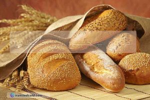 طرح توجیهی نان فانتزی در مجموعه ایران استیل ارائه می شود.