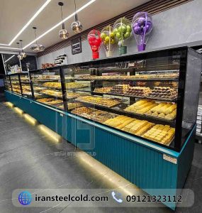 ShiriniNeyshekar-iransteelcold-7